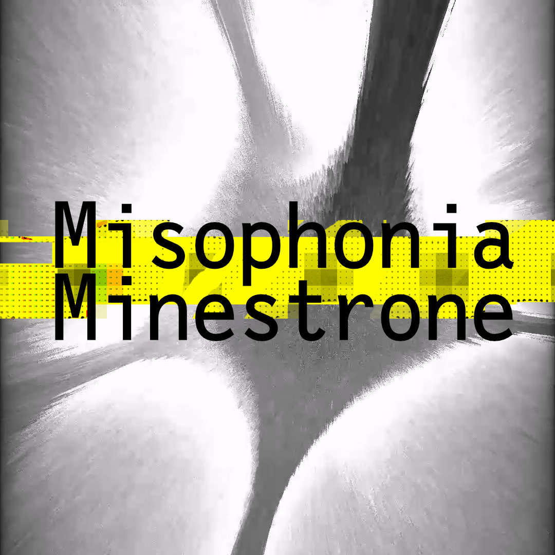 Misophonia Minestrone