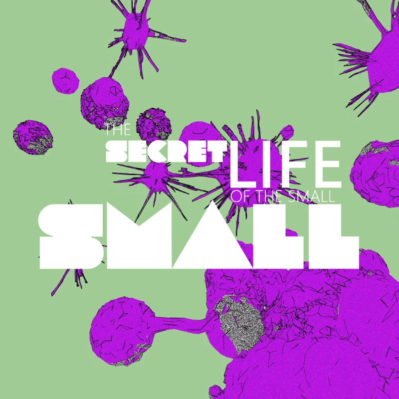 The Secret Life of the Small